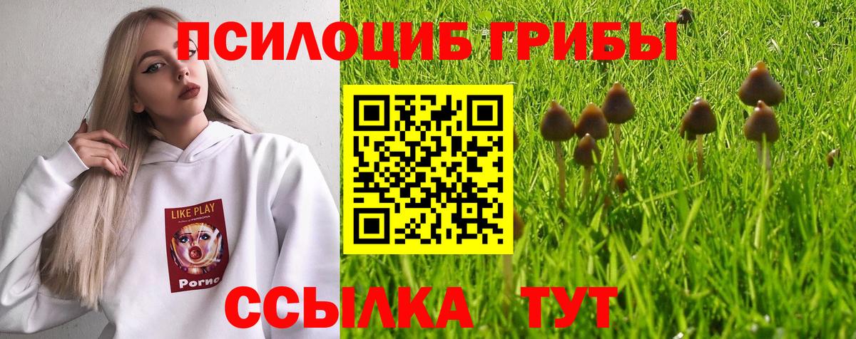Родники  Галлюциногенные грибы Cubensis  Вход с VPN 
